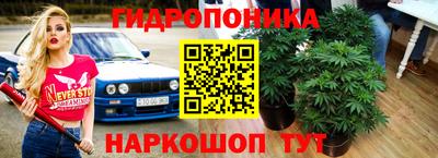 СК Ипатово
