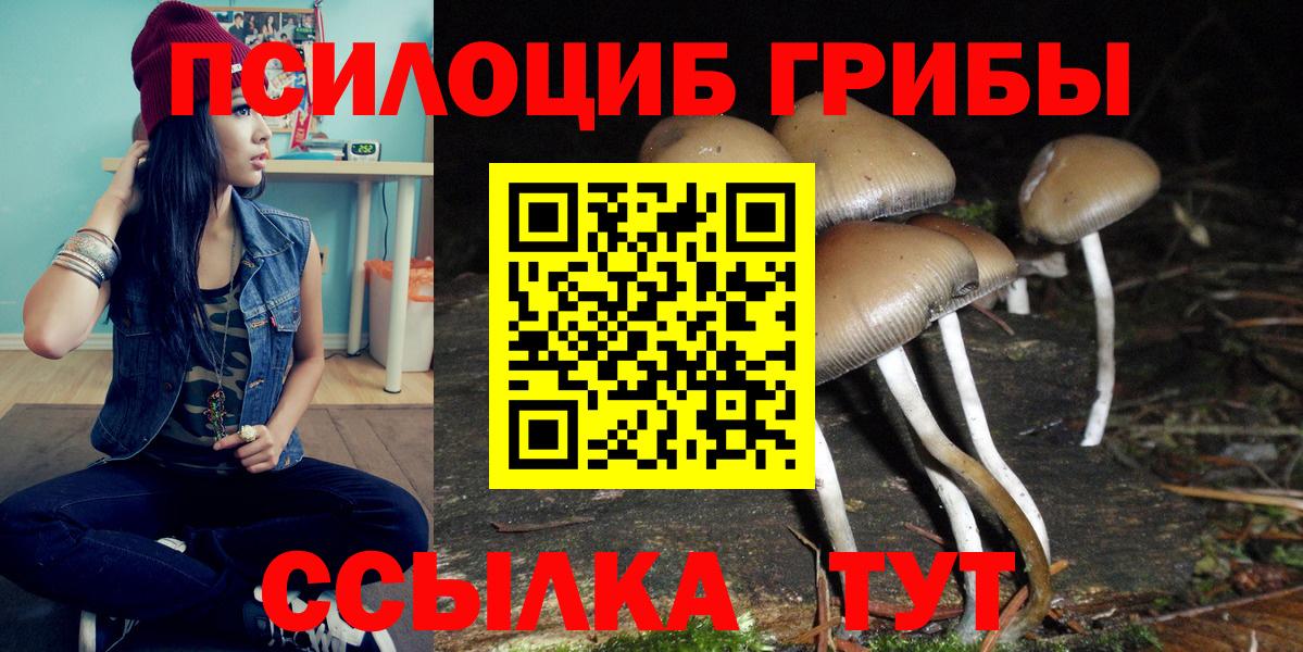Галлюциногенные грибы Cubensis Пенза