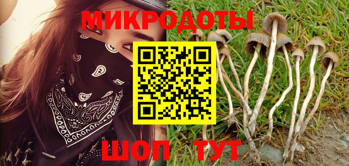 Псилоцибиновые грибы прущие грибы  цены наркотик  Пенза  Вход с VPN 